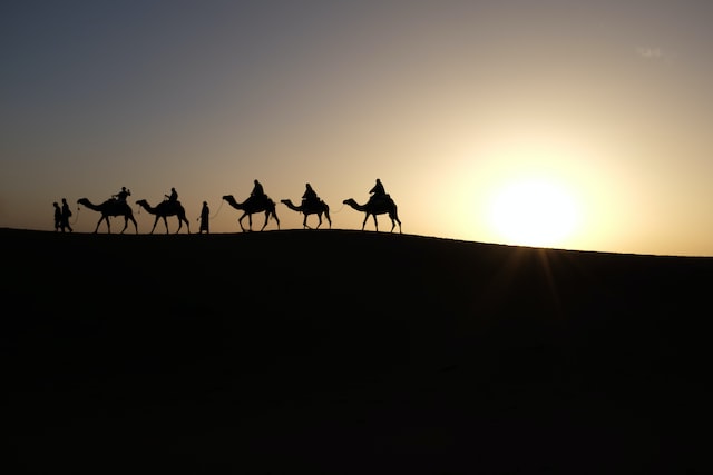 Wise Men on Camels for Christmas